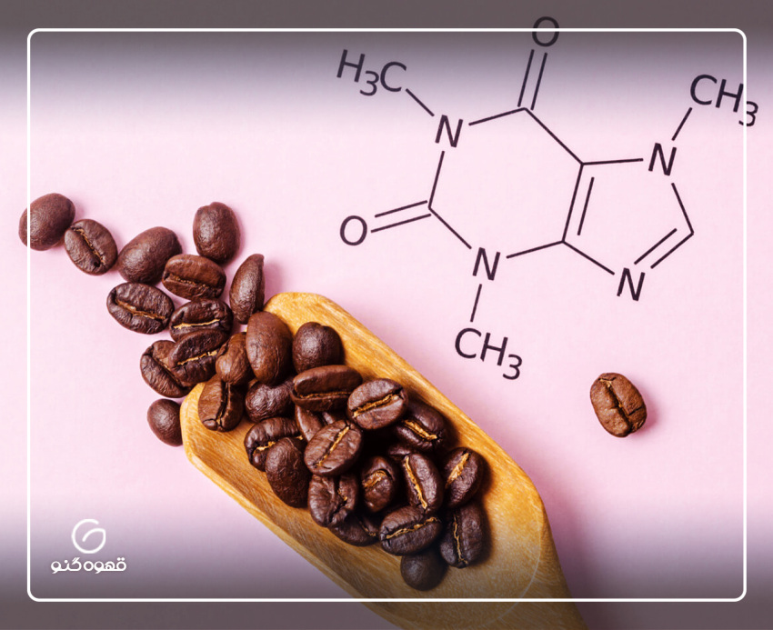کافئین و تاثیرات آن